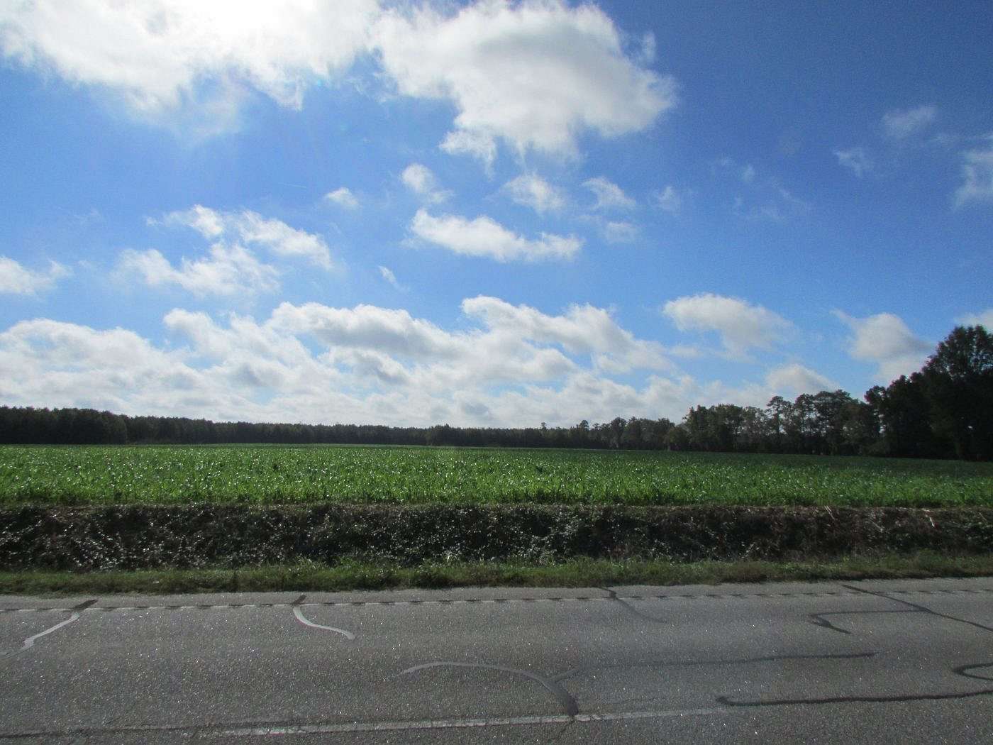 28.7 Acres of Land for Sale in Latta, South Carolina