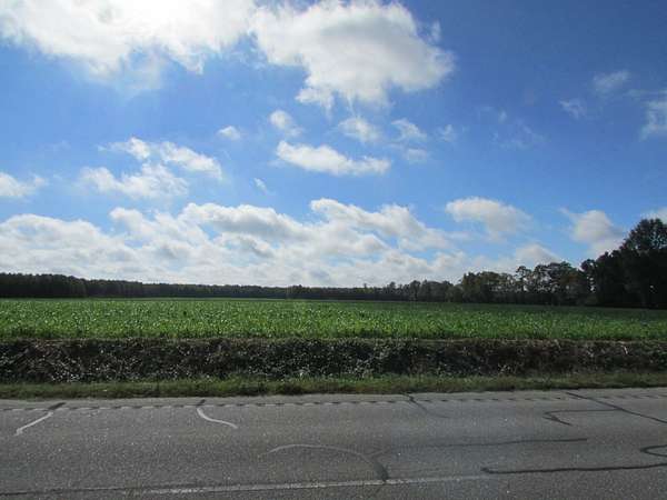 28.7 Acres of Land for Sale in Latta, South Carolina