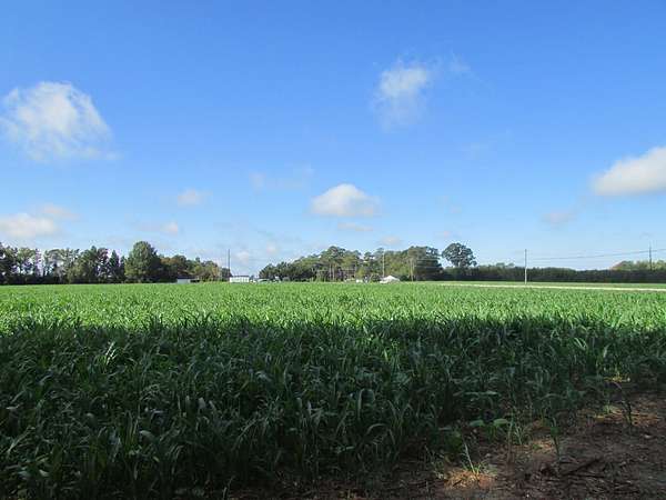 57.9 Acres of Land for Sale in Latta, South Carolina