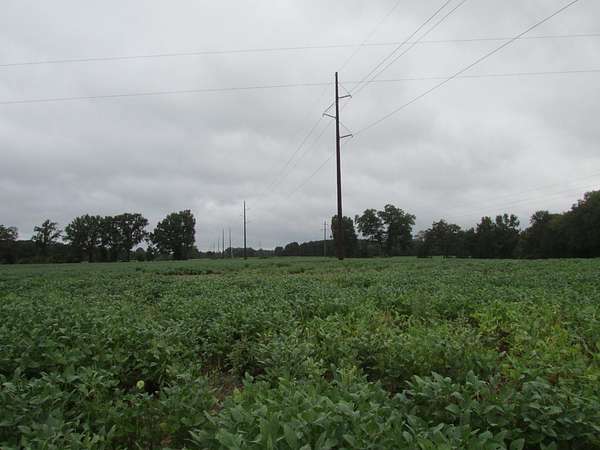 60 Acres of Land for Sale in Latta, South Carolina