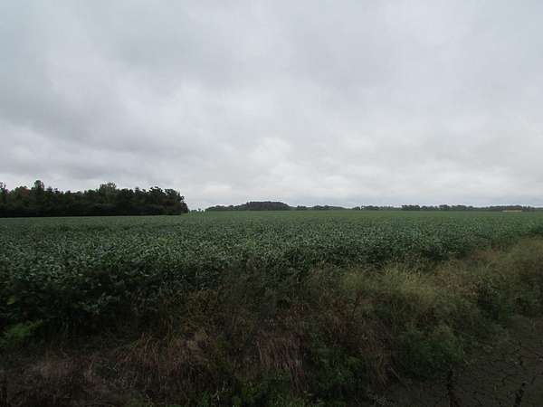 36.5 Acres of Land for Sale in Latta, South Carolina