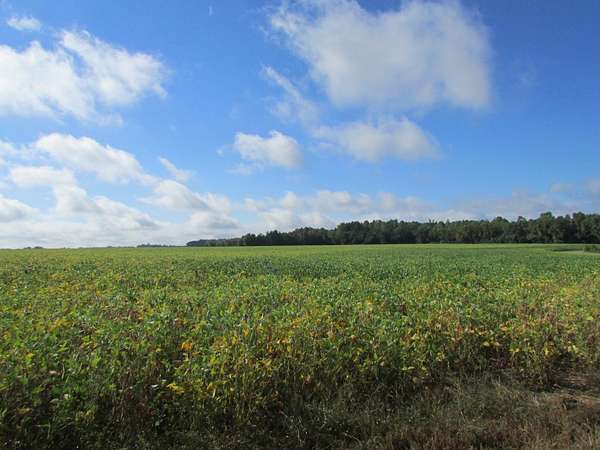 51.6 Acres of Land for Sale in Latta, South Carolina