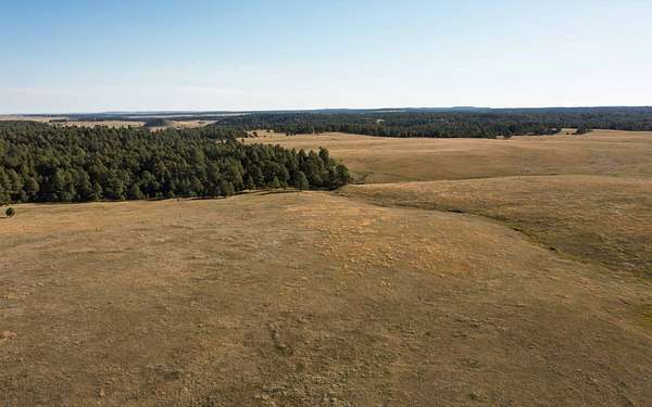 35 Acres of Land for Sale in Colorado Springs, Colorado