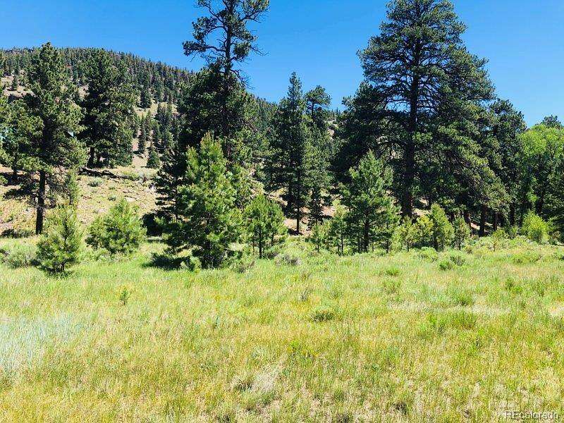 1 Acre of Residential Land for Sale in Antonito, Colorado