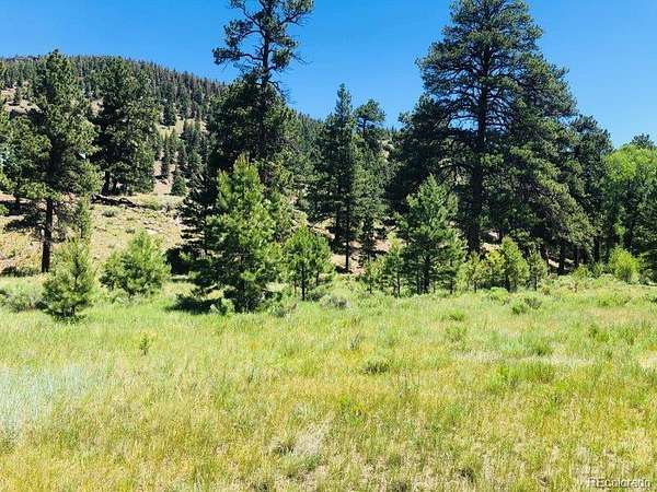 1 Acre of Residential Land for Sale in Antonito, Colorado