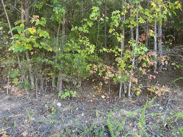 0.95 Acres of Residential Land for Sale in Sale Creek, Tennessee