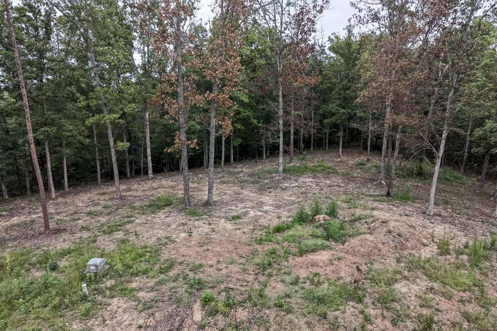 1.63 Acres of Residential Land for Sale in Clay City, Kentucky