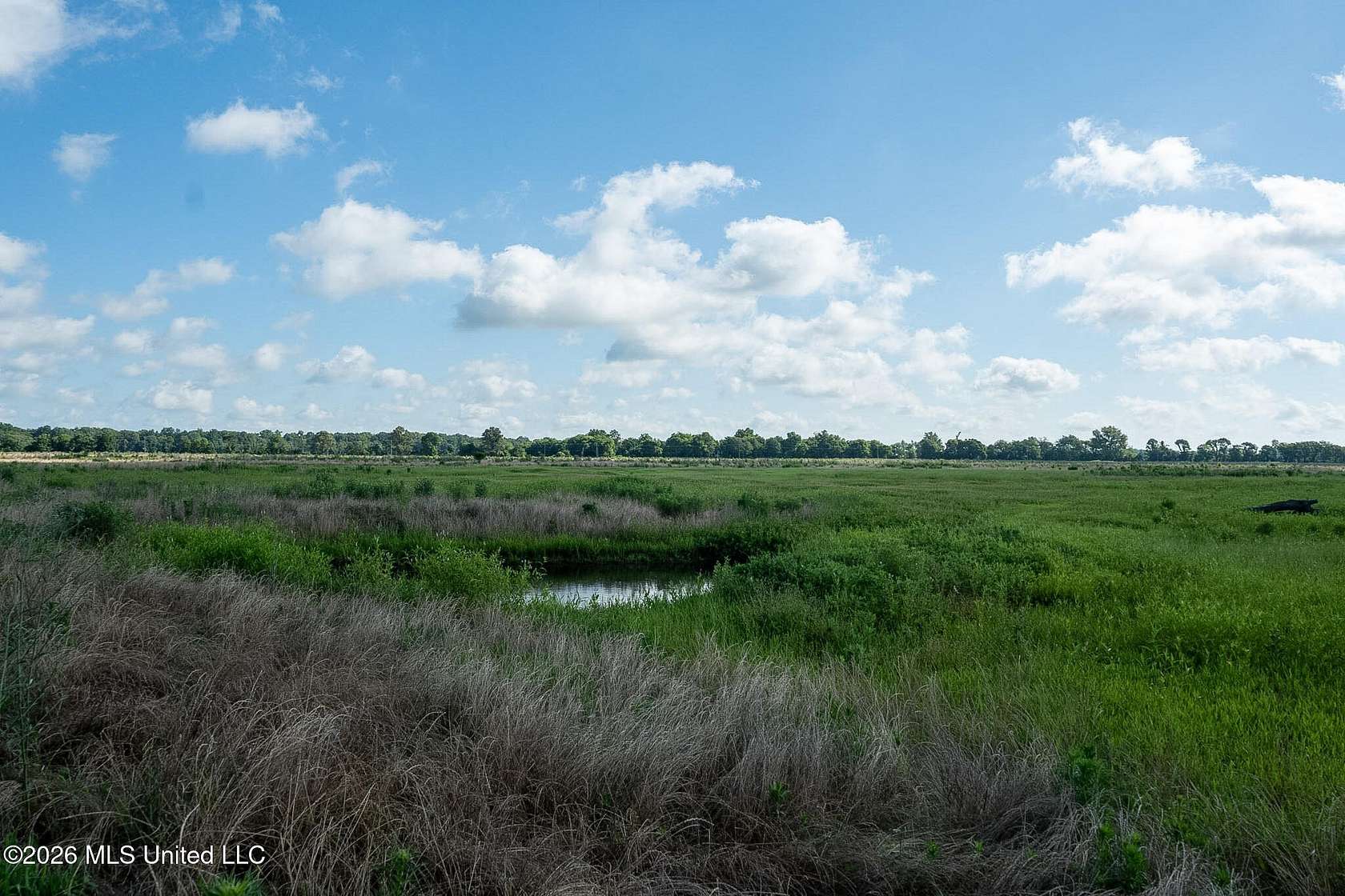 436 Acres of Recreational & Residential Land for Sale in Indianola, Mississippi