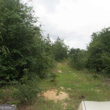 0.39 Acres of Commercial Land for Sale in Eastman, Georgia