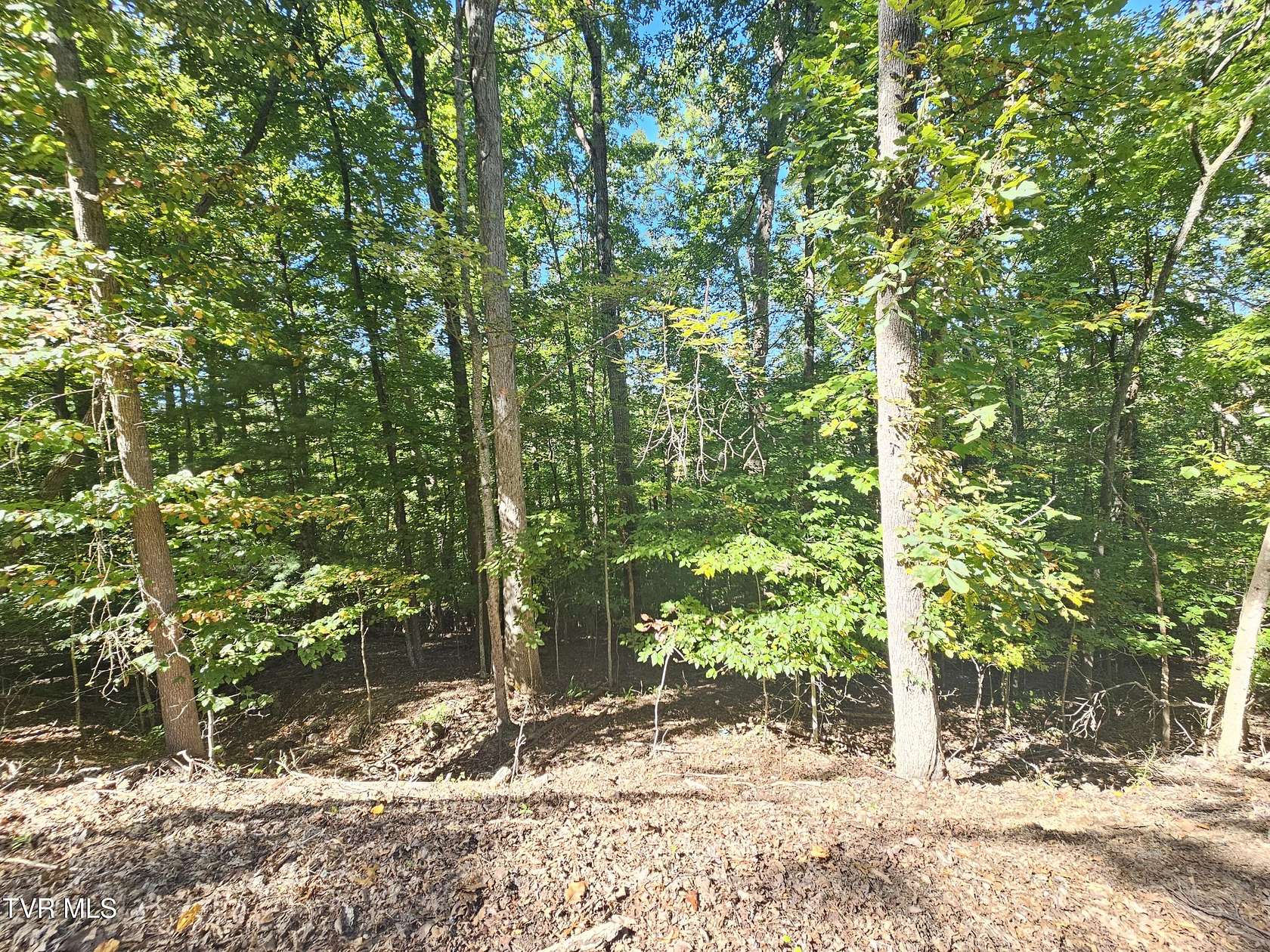 0.65 Acres of Residential Land for Sale in Bristol, Tennessee