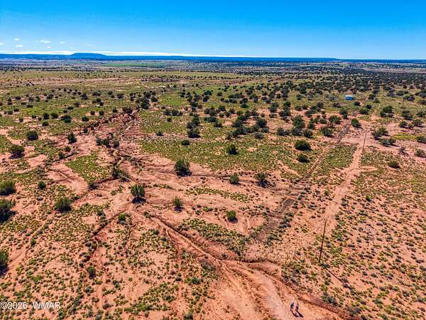 43.9 Acres of Land for Sale in Concho, Arizona