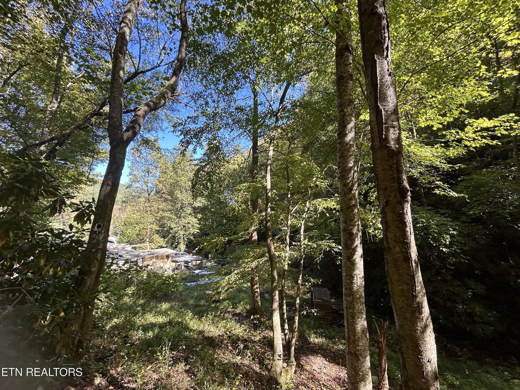 16.6 Acres of Land for Sale in Bean Station, Tennessee