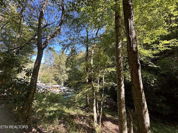 16.6 Acres of Land for Sale in Bean Station, Tennessee