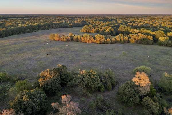 494 Acres of Land for Sale in Point, Texas