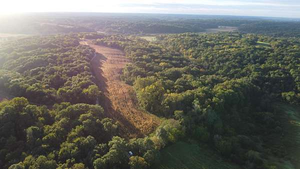 62.3 Acres of Land for Sale in Savanna, Illinois
