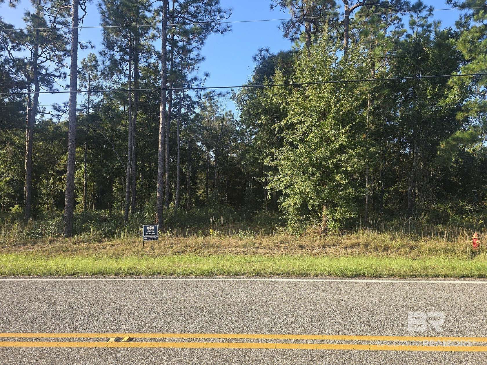 0.49 Acres of Residential Land for Sale in Stapleton, Alabama