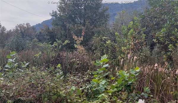 0.24 Acres of Land for Sale in Handley, West Virginia