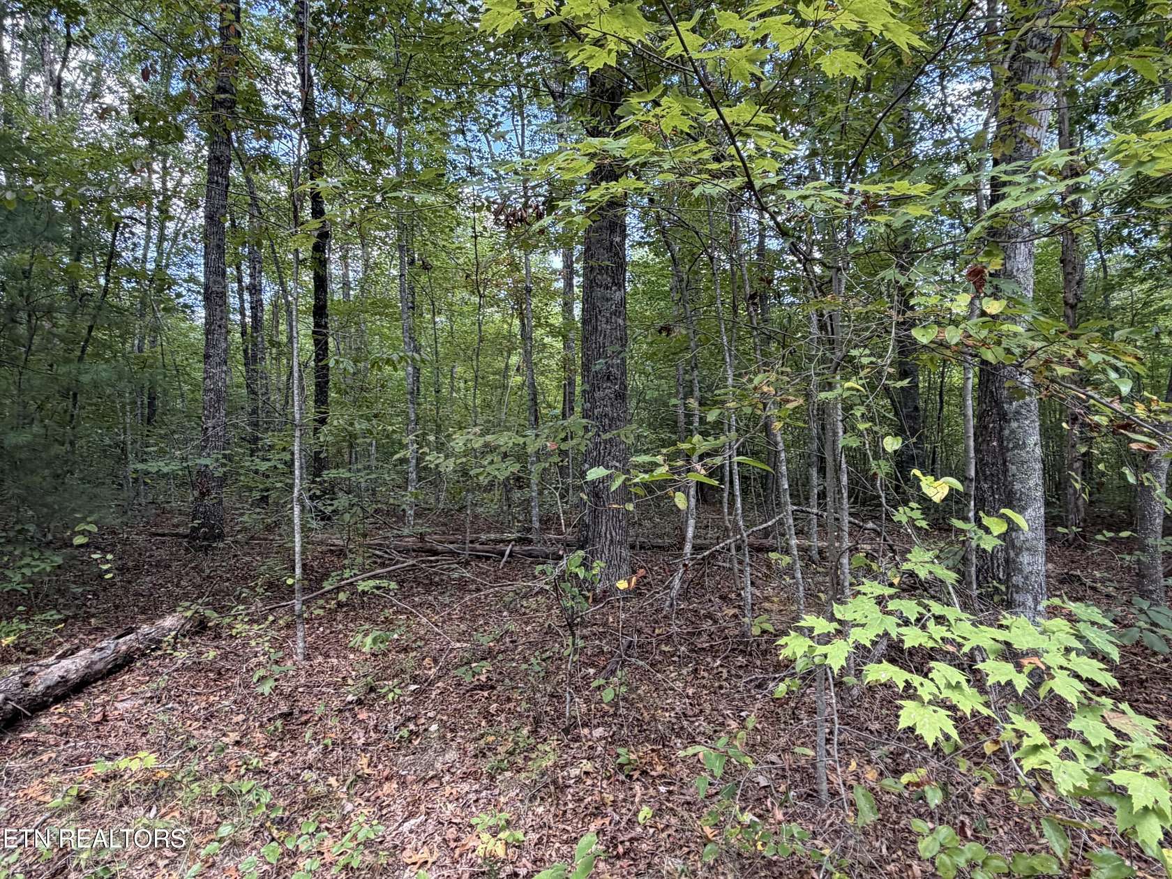 6.34 Acres of Land for Sale in Jamestown, Tennessee