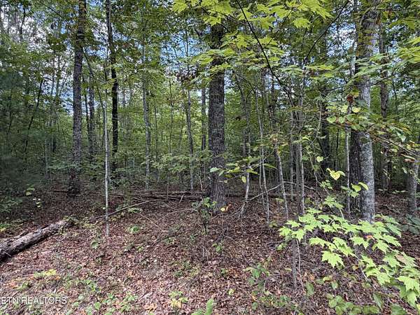 6.34 Acres of Land for Sale in Jamestown, Tennessee