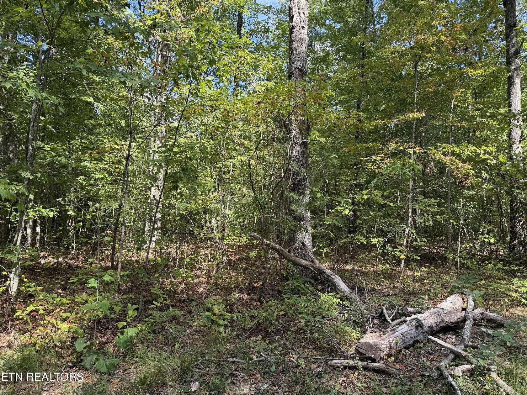 8 Acres of Land for Sale in Jamestown, Tennessee