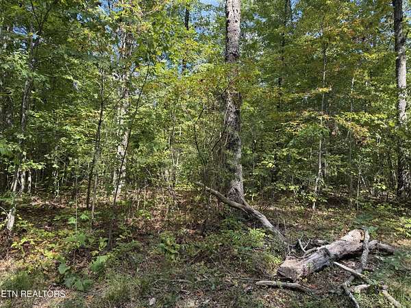 8 Acres of Land for Sale in Jamestown, Tennessee
