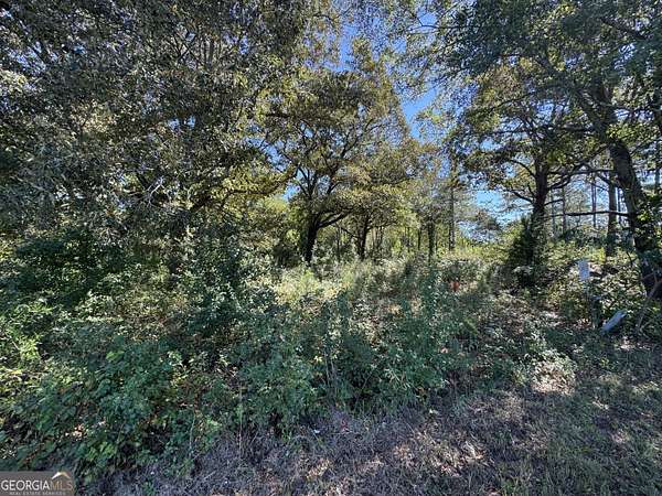 1 Acre of Land for Sale in Griffin, Georgia