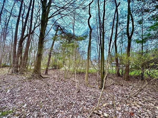 0.23 Acres of Residential Land for Sale in Douglas, Michigan