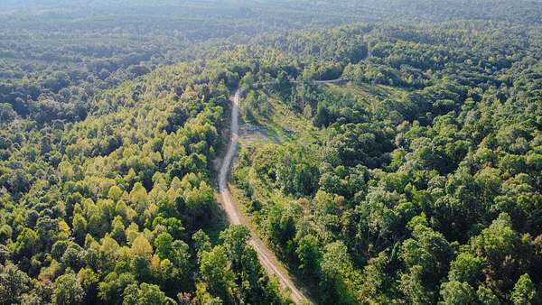 157 Acres of Recreational & Residential Land for Sale in Dover, Tennessee