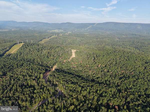 311 Acres of Recreational & Residential Land for Auction in Winchester, Virginia