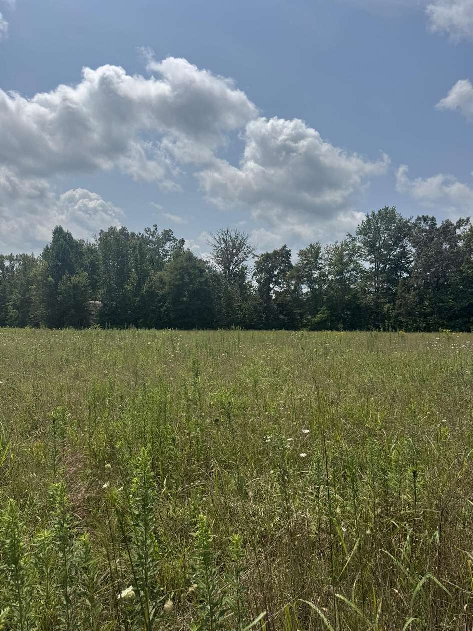 2 Acres of Residential Land for Sale in Burkesville, Kentucky