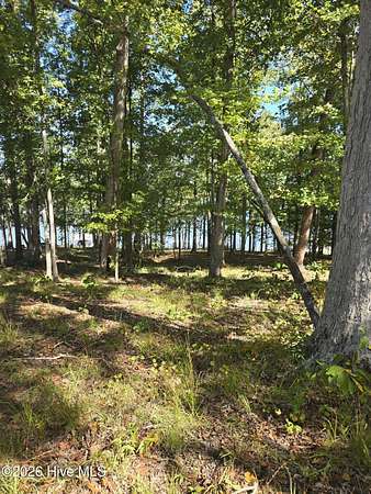 1 Acre of Residential Land for Sale in Lincolnton, Georgia