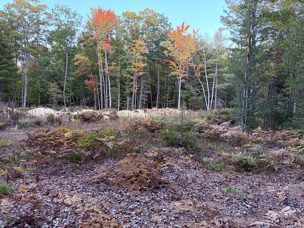 1.27 Acres of Land for Sale in Prudenville, Michigan