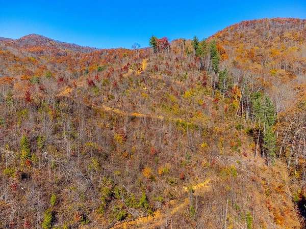 64 Acres of Recreational Land for Sale in Sylva, North Carolina