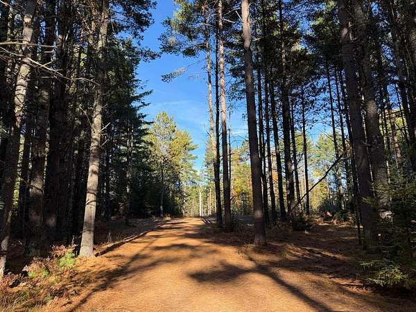 5.17 Acres of Residential Land for Sale in Mercer, Wisconsin