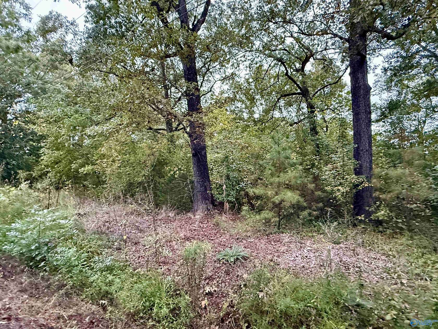 0.67 Acres of Residential Land for Sale in Gadsden, Alabama