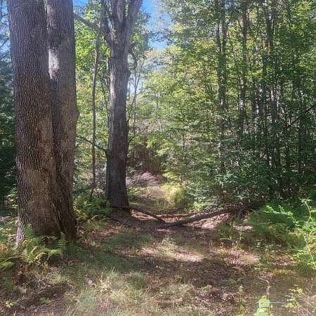 53.3 Acres of Recreational & Residential Land for Sale in Gaines, Pennsylvania