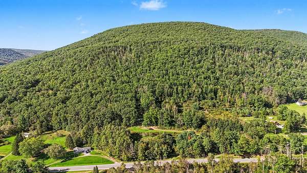 57.5 Acres of Recreational Land for Sale in Gaines, Pennsylvania