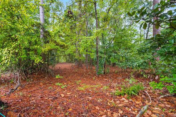 7.65 Acres of Residential Land for Sale in Camden, South Carolina