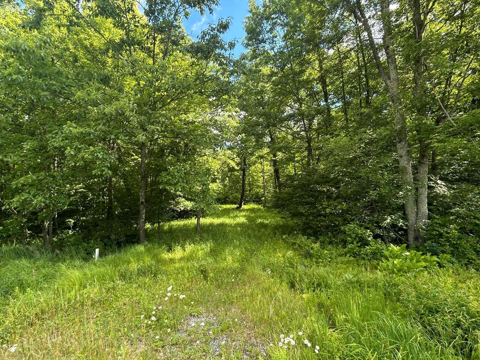 99.2 Acres of Recreational & Residential Land for Sale in Granton, Wisconsin