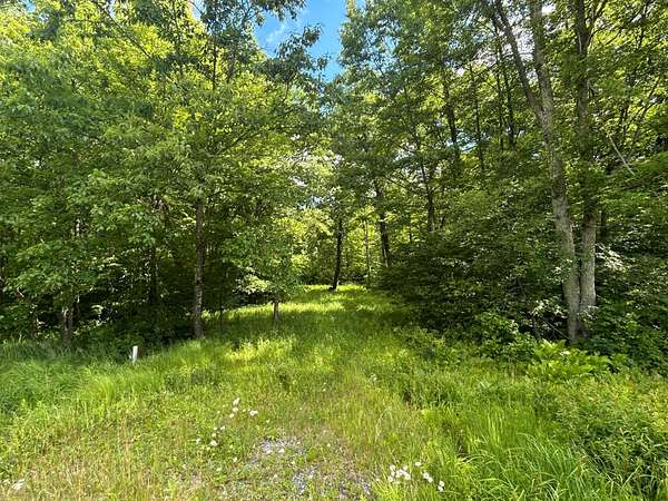 99.2 Acres of Recreational & Residential Land for Sale in Granton, Wisconsin