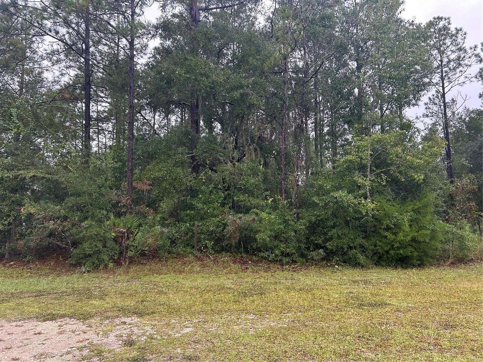 1.1 Acres of Residential Land for Sale in Bronson, Florida