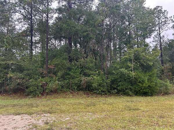 1.1 Acres of Residential Land for Sale in Bronson, Florida