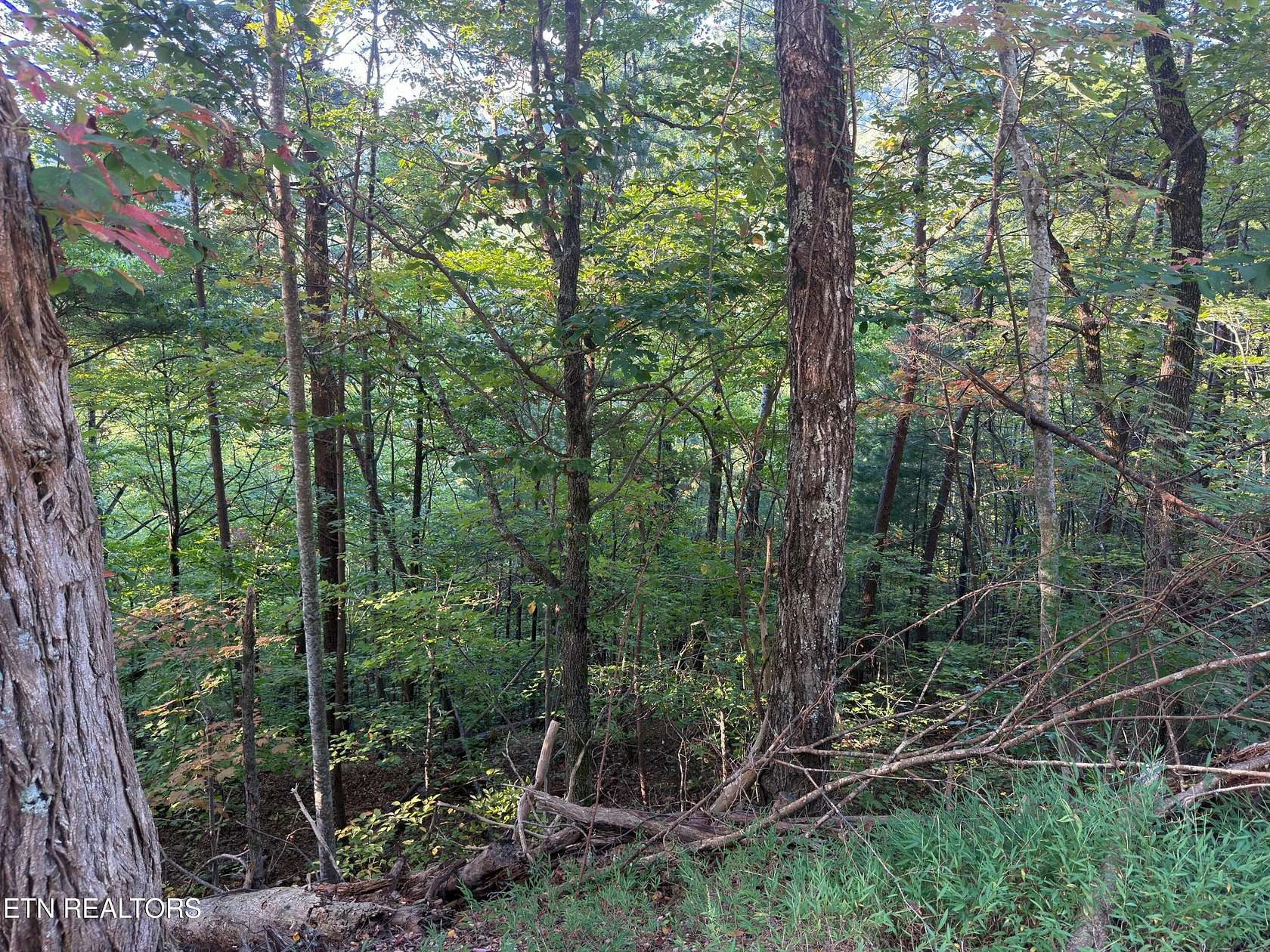 1 Acre of Residential Land for Sale in Sevierville, Tennessee