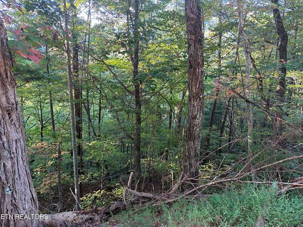 1 Acre of Residential Land for Sale in Sevierville, Tennessee