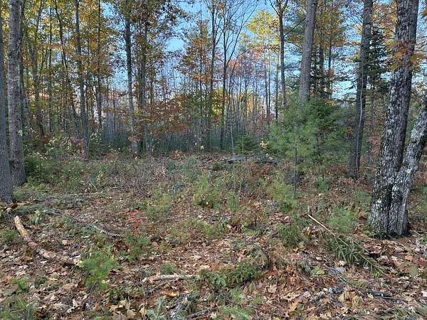 1.9 Acres of Residential Land for Sale in Farmington, Maine