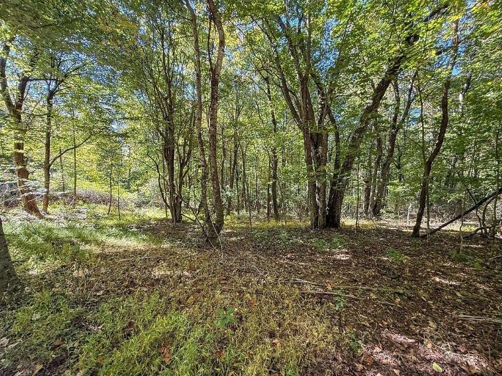 5 Acres of Residential Land for Sale in Meadows of Dan, Virginia