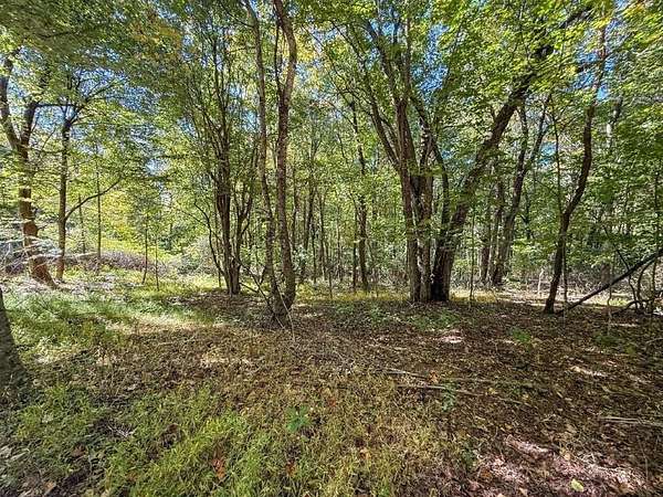 5 Acres of Residential Land for Sale in Meadows of Dan, Virginia
