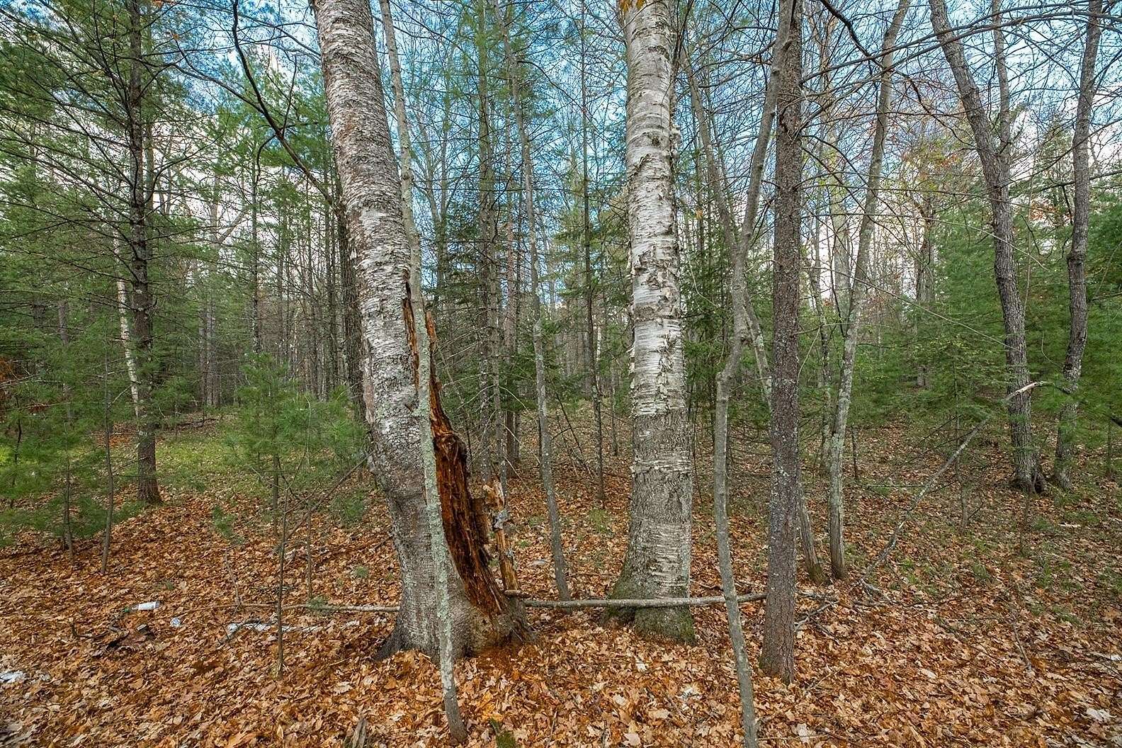 4 Acres of Commercial Land for Sale in Eagle River, Wisconsin