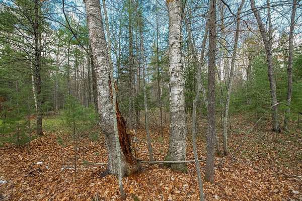 4 Acres of Commercial Land for Sale in Eagle River, Wisconsin