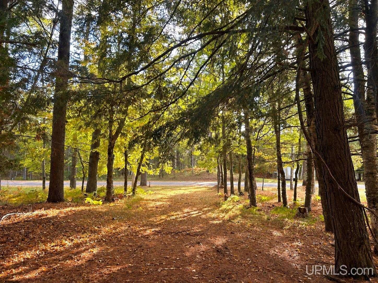 0.31 Acres of Residential Land for Sale in Gulliver, Michigan